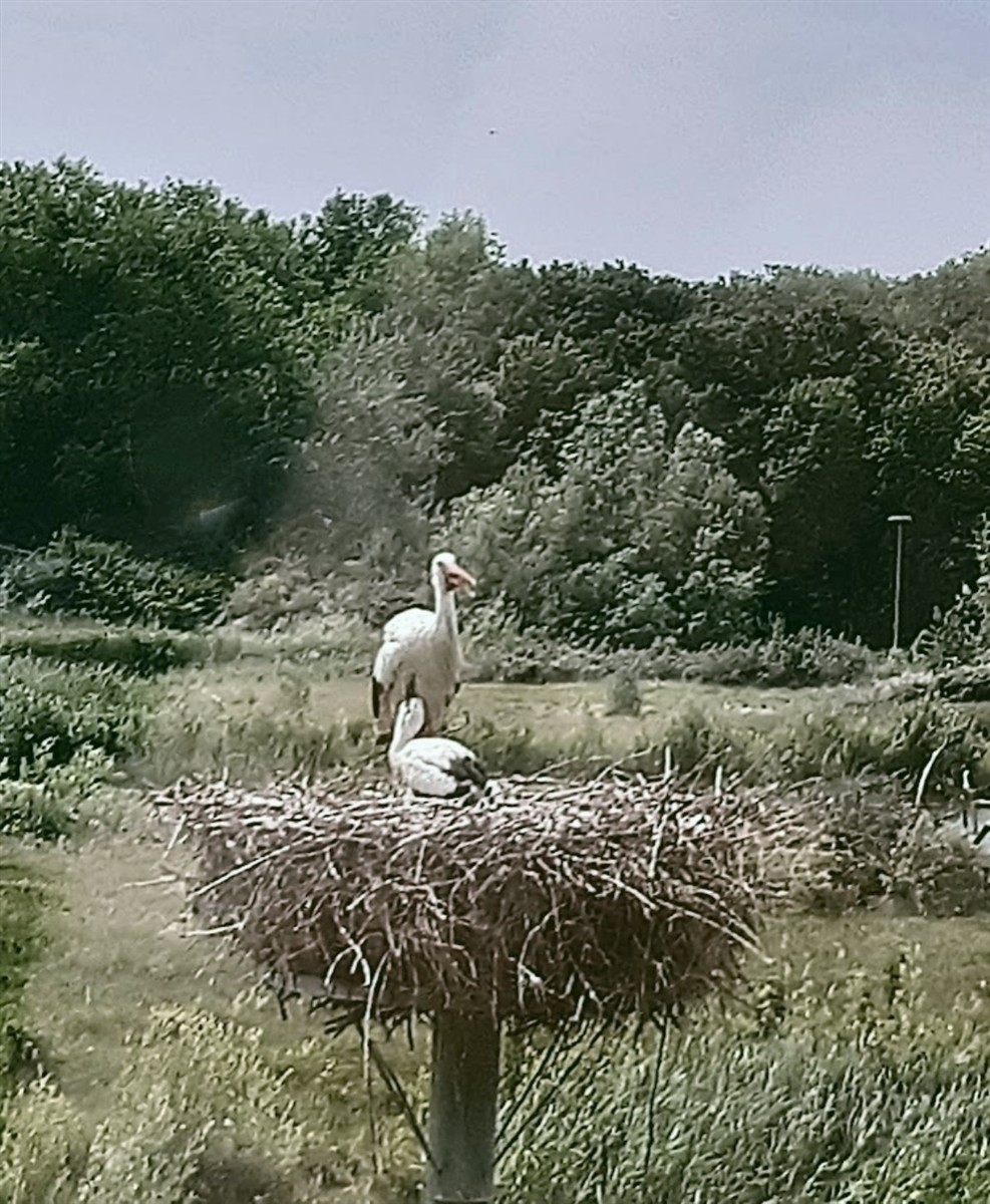 20250612_145327~3-bis