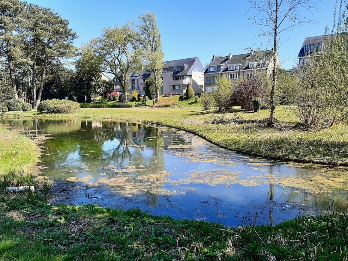 original_024592c4-8ea6-4b18-a54d-2da447ee4d66_20250412_145143~2